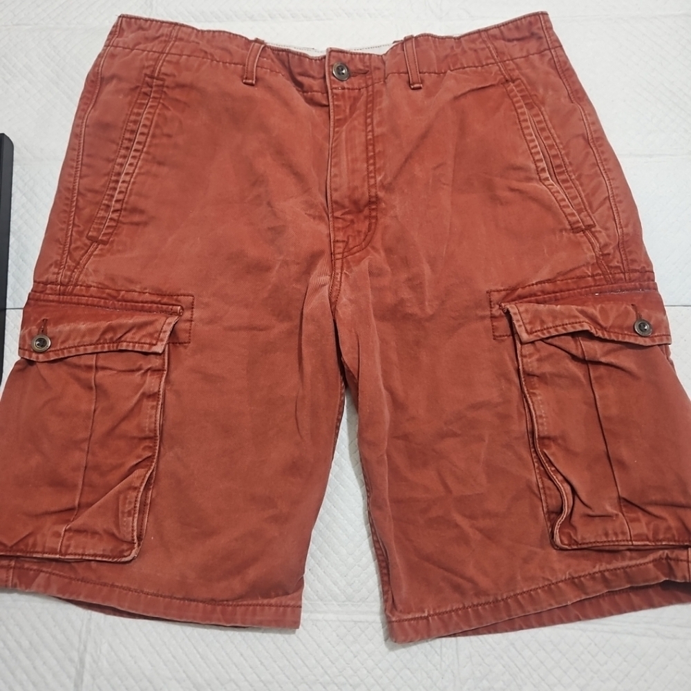 Levis Men's Rust Cargo Shorts